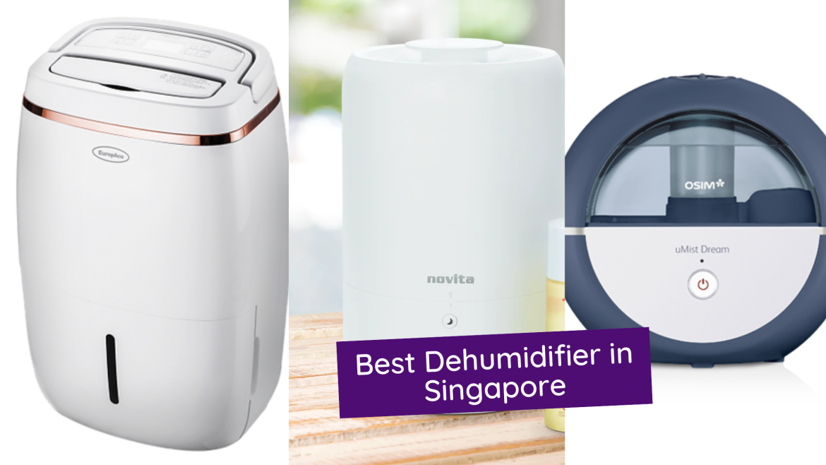 Best Dehumidifier in Singapore