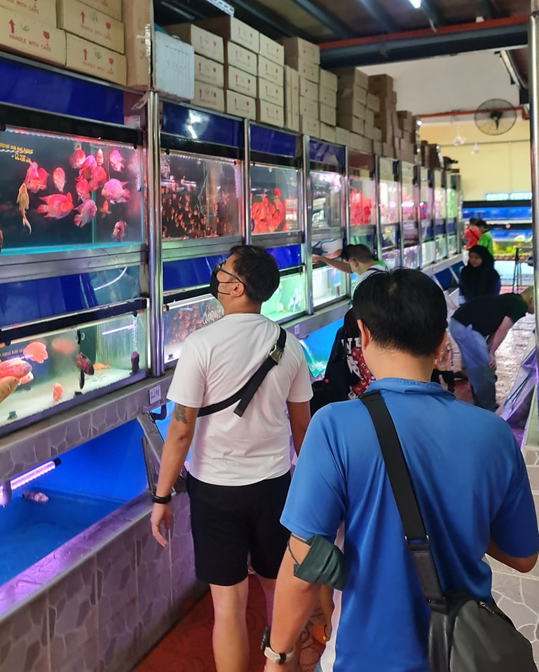Aquarium Shops in KL and Selangor