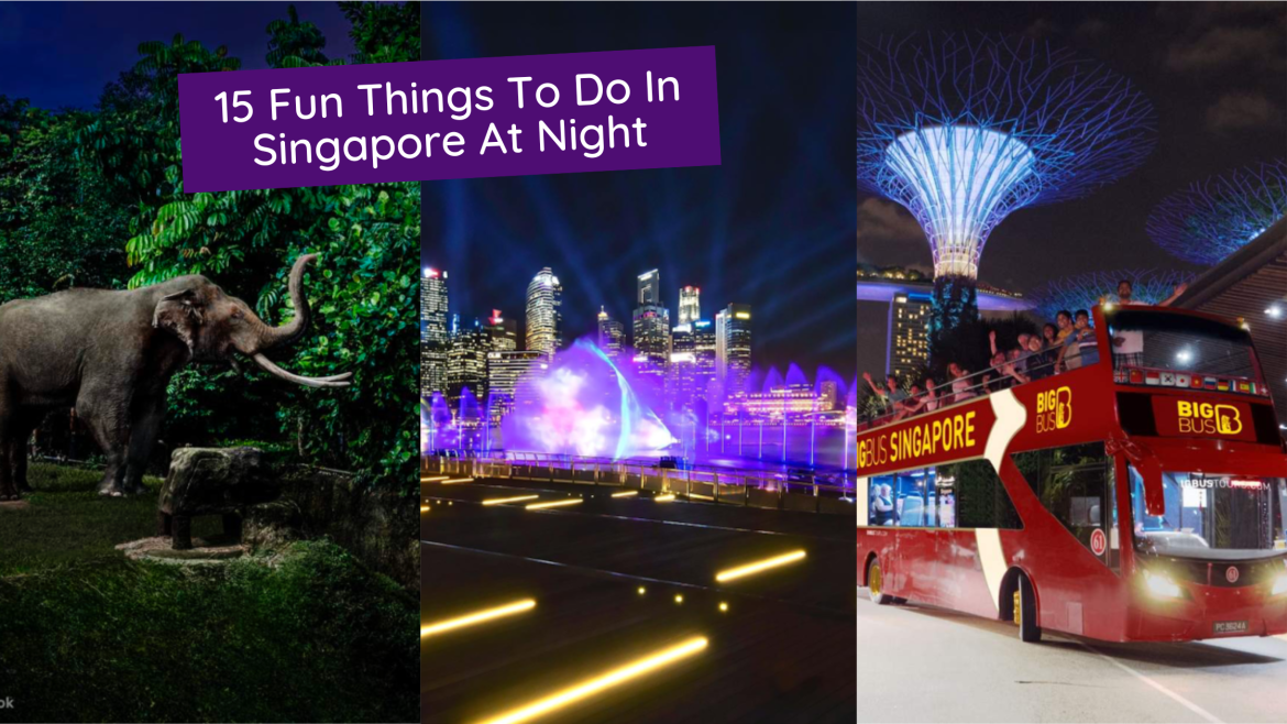 night sg 15 Fun Things To Do In Singapore At Night