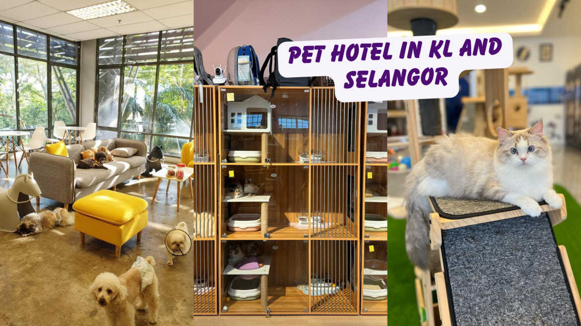 pet hotel in kl and Selangor